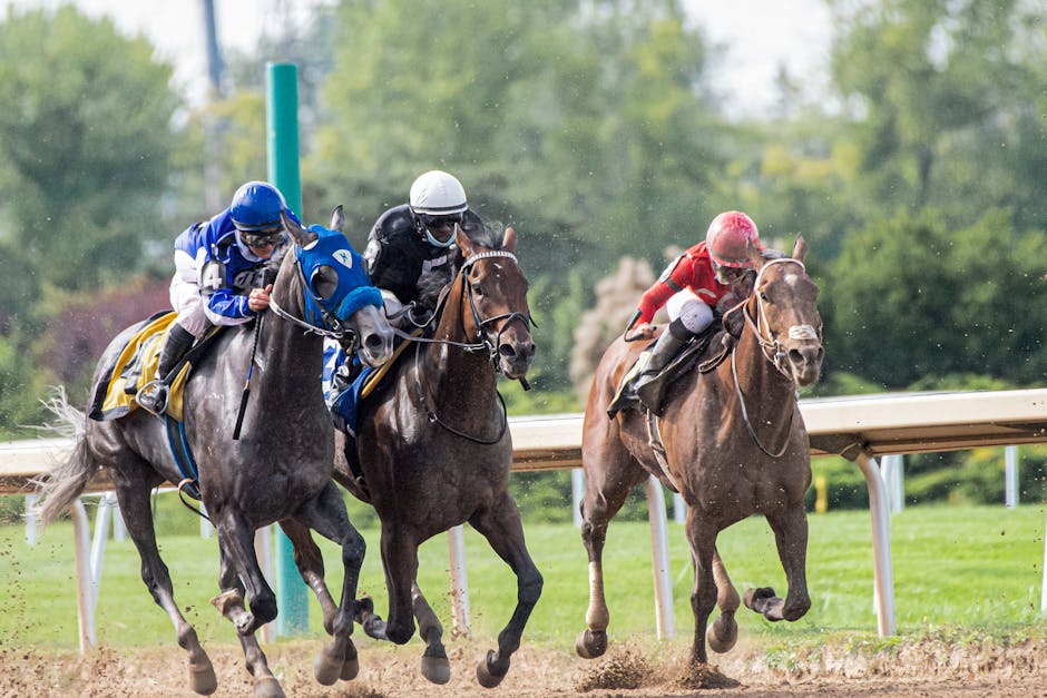 The Science Behind Winning Race Strategies