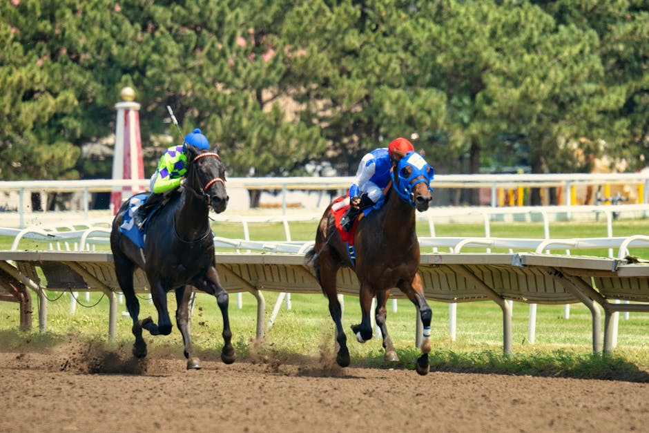 The Science Behind Winning Race Strategies
