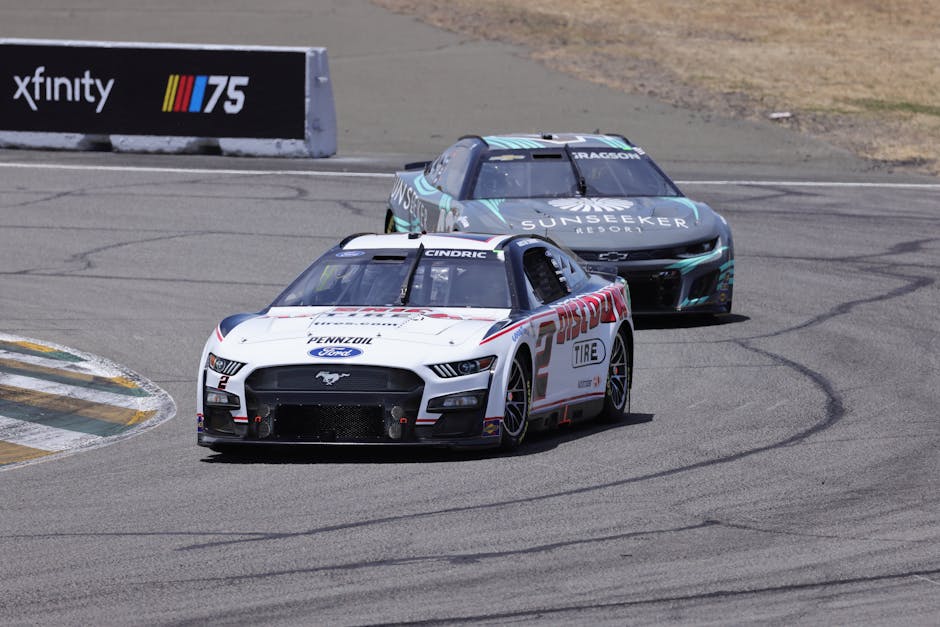 Road Warriors: Profiles of Professional Drivers