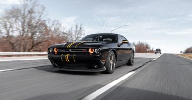 Racing Strategies: Machine Learning in Action